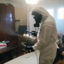 Дезинфекция от клопов в Полярных Зорях