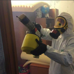 Уничтожение клопов в квартире. Полярные Зори